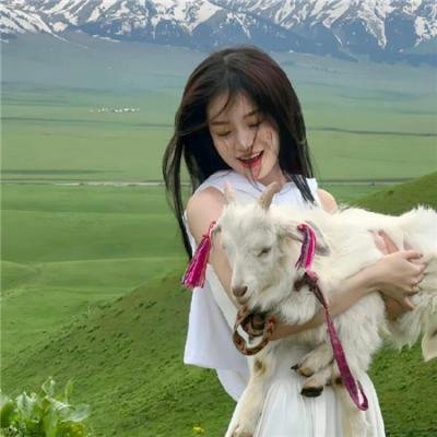 高卢勇士之女王任务