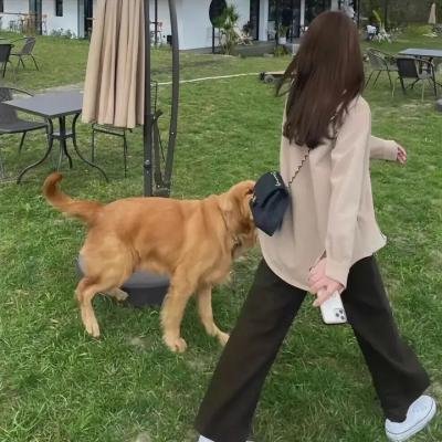 惊喜人生